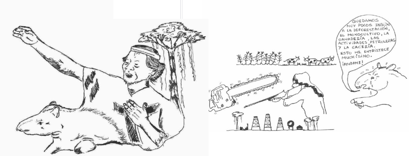 Medardo Tapia publicó en 1999 junto a la WWF la Guía para el manejo, cría y conservación del Tapir